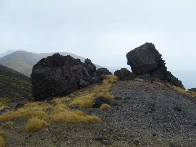 にせ金庫 にせ金庫