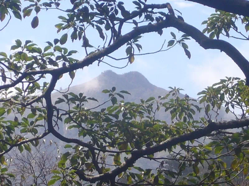 宮之浦岳 宮之浦岳