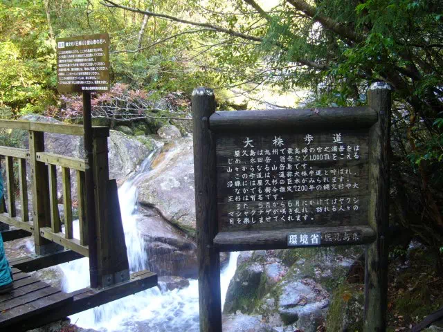 大株歩道 大株歩道