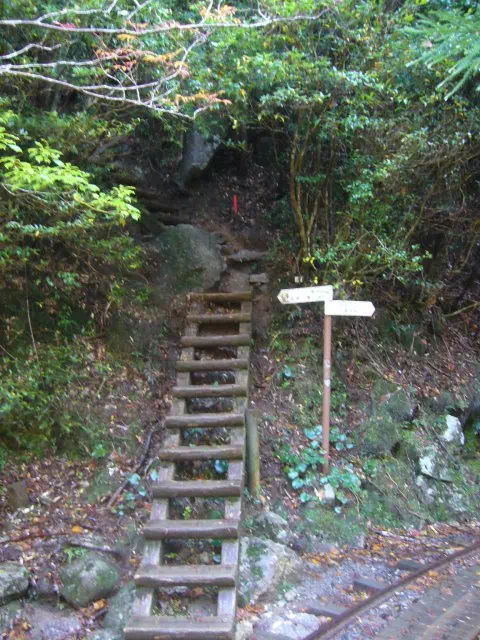 大株歩道 大株歩道