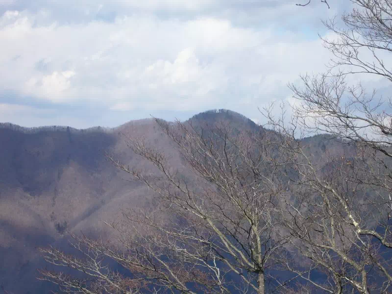 扇山からの権現山