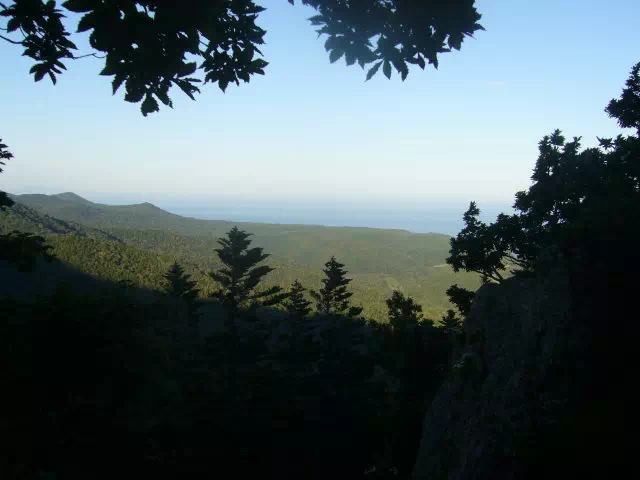 オホーツク海 オホーツク海