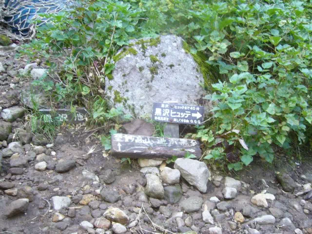 長助分岐 長助分岐