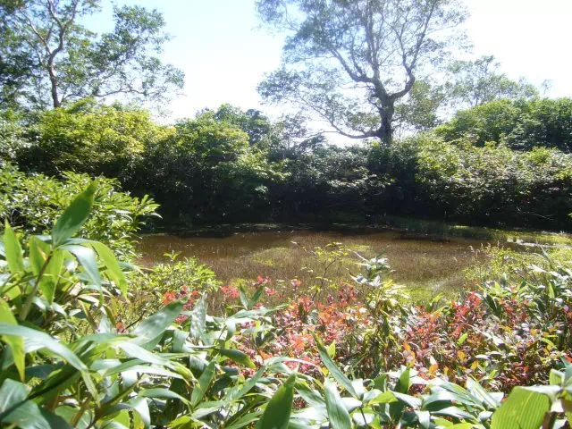 光善寺池 光善寺池