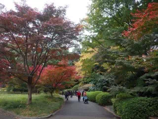 石室前紅葉