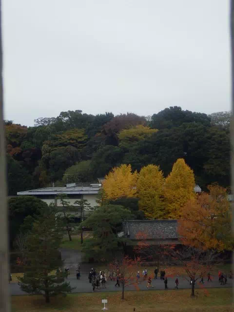 富士見多聞展望