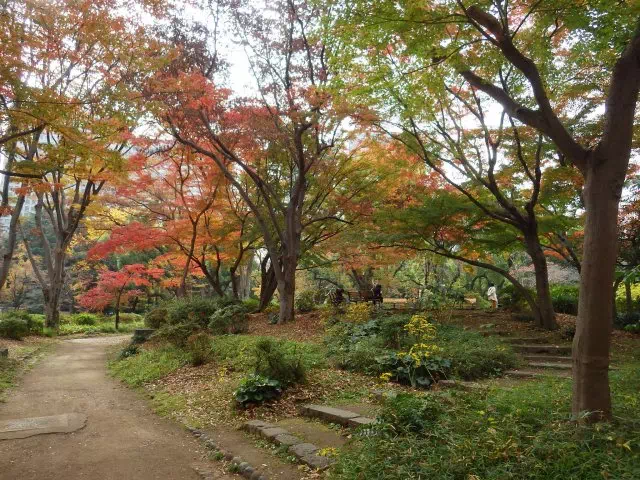 つつじ山登山口