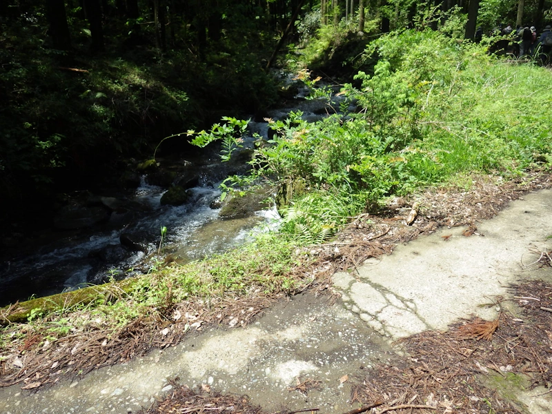 渓流沿い
