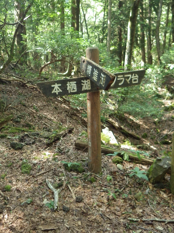 パノラマ台分岐