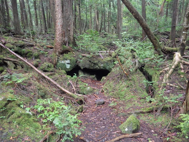 小さな洞窟(穴)