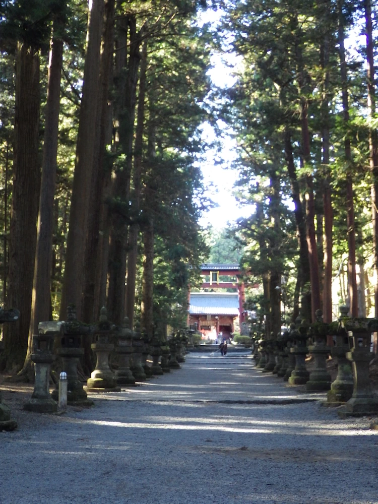 浅間神社参道