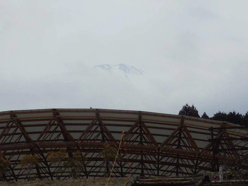 樹空の森での富士山