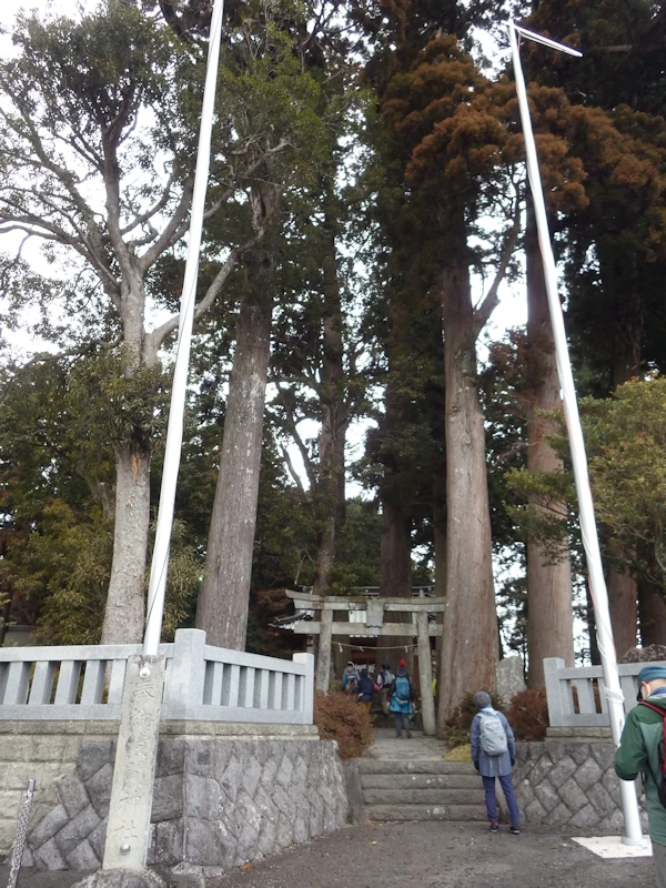 川柳浅間神社