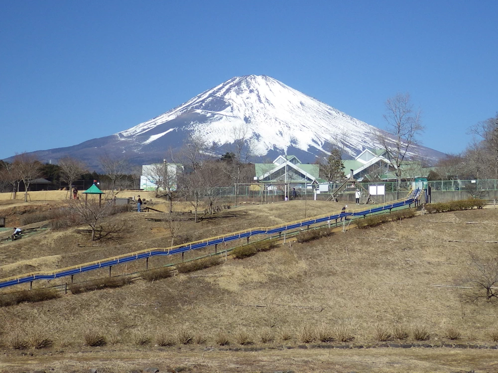 樹空の森から富士山