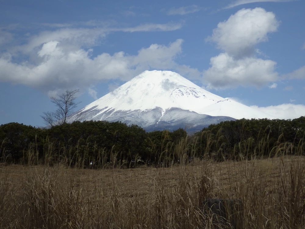 富士山 富士山