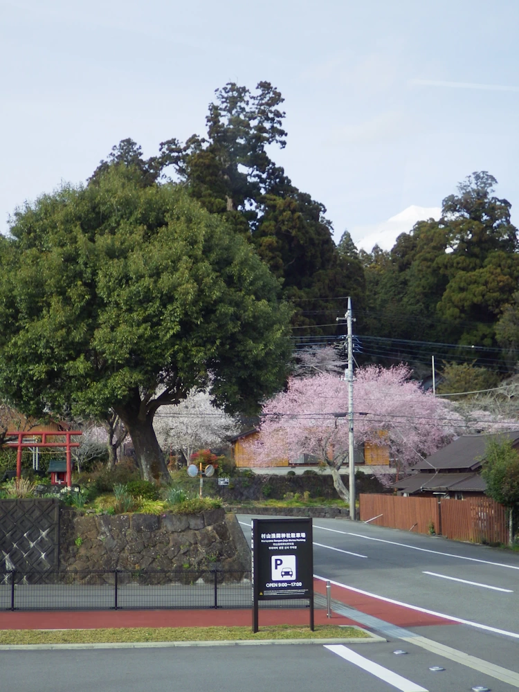 浅間神社駐車場から 浅間神社駐車場から