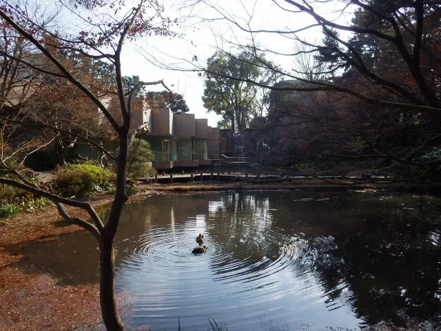 御殿山公園池