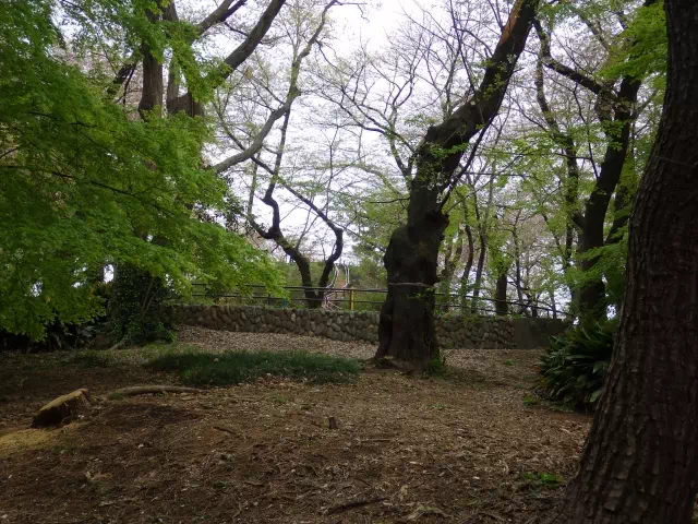 箱根山