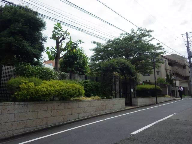 ねむの木の庭 ねむの木の庭