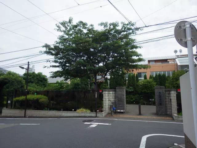 ねむの木の庭 ねむの木の庭