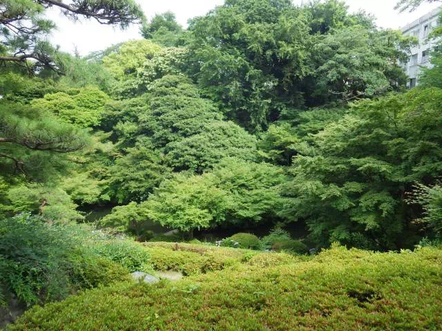 のぞき池 のぞき池