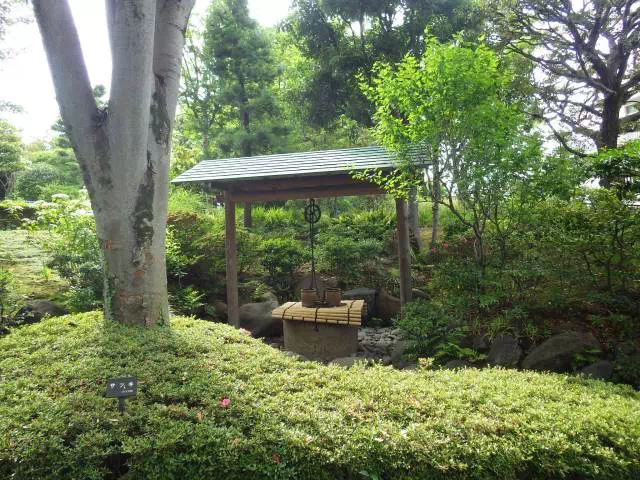 つるべ井戸 つるべ井戸