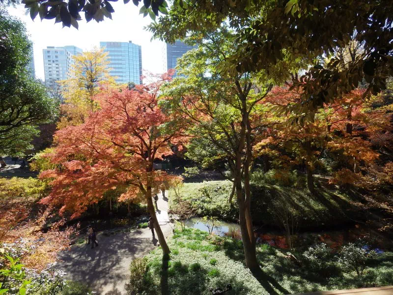 愛宕山付近の紅葉