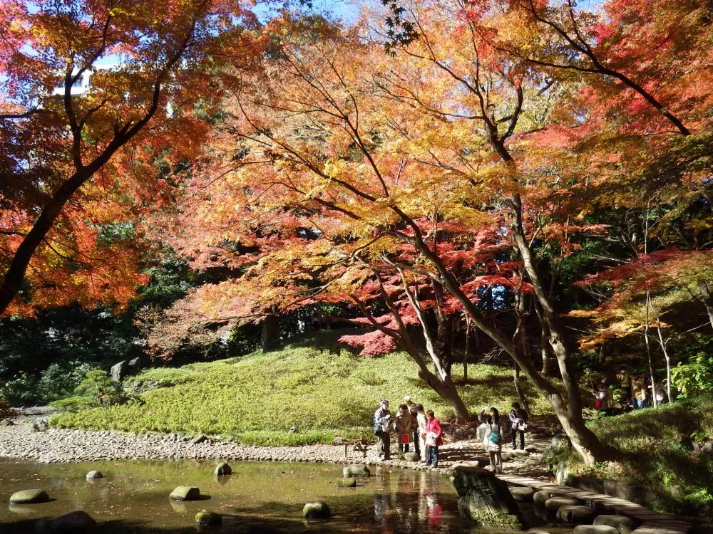 池の近くの紅葉
