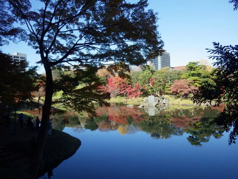 大泉水ほとりの紅葉