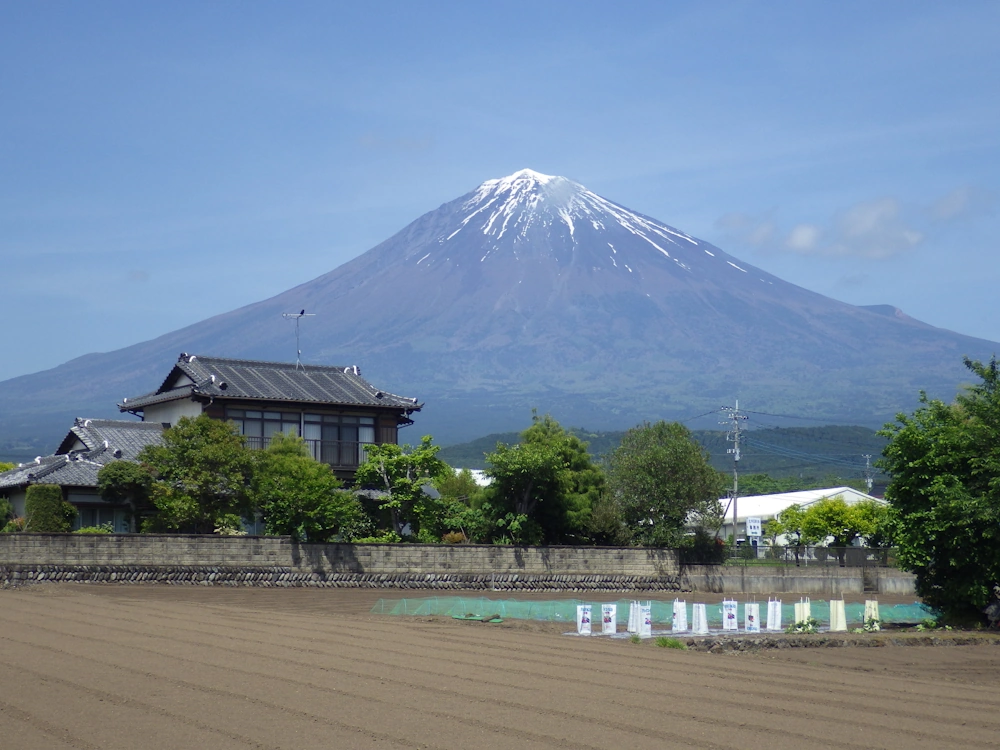 富士山