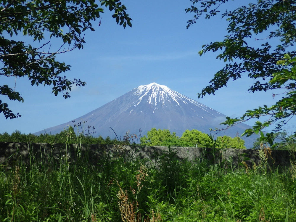 富士山